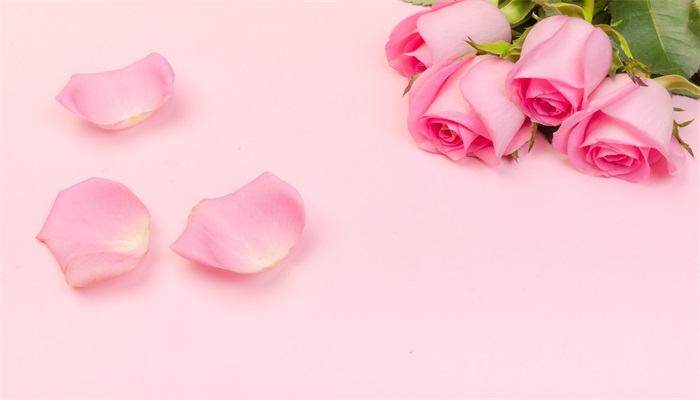 粉色玫瑰的花语是什么 粉玫瑰的花语