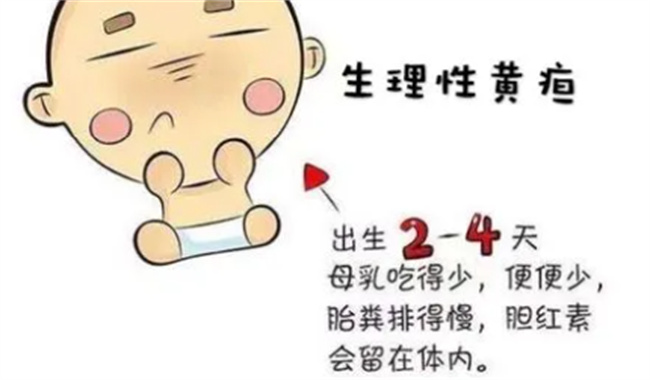 《虫逝世静态漫绘》动漫