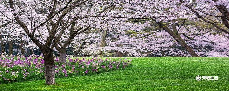 ​湖州市春季赏花去哪里 推荐湖州市春季赏花好去处