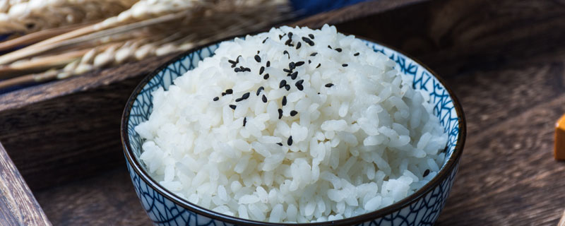 米饭的起源 米饭的起源是哪个我国
