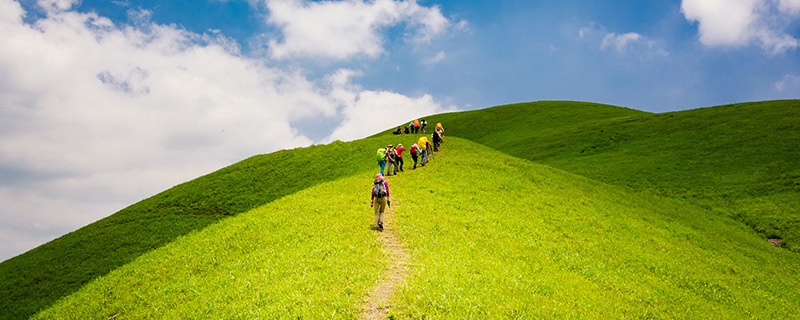 武功山几月份草是山月山什时候色绿色