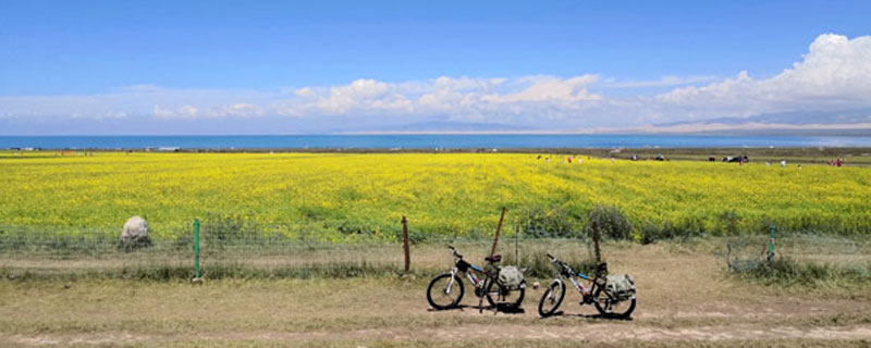 ​青海湖油菜花什么时候开 青海湖油菜花几月份开