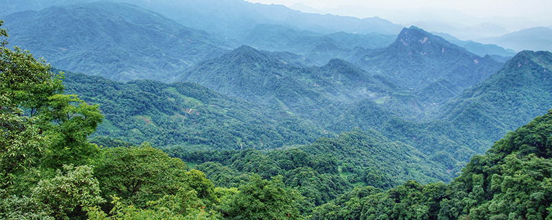 青城山在什么地方 青城山在哪