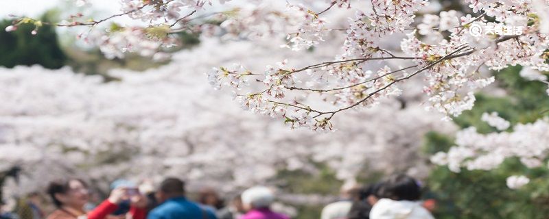 本溪市春季赏花去哪里 推荐本溪市春季赏花好去处