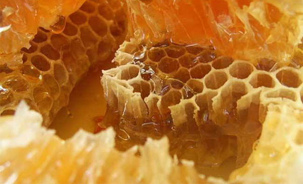 蜂胶作用与功效 蜂胶有哪些养生保健功效
