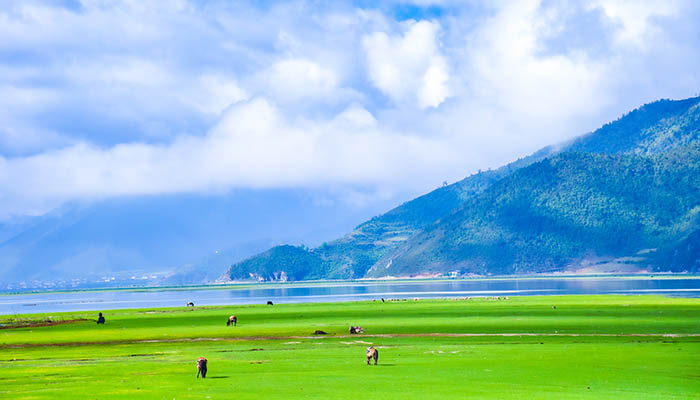 香格里拉有哪些景点 香格里拉有哪些好玩的拉拉景点