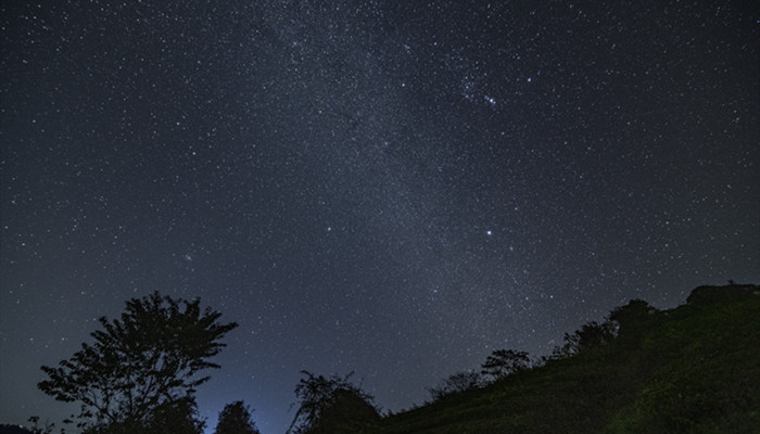 阴历二月初七是什么星座 阴历二月初七出生是哪个星座