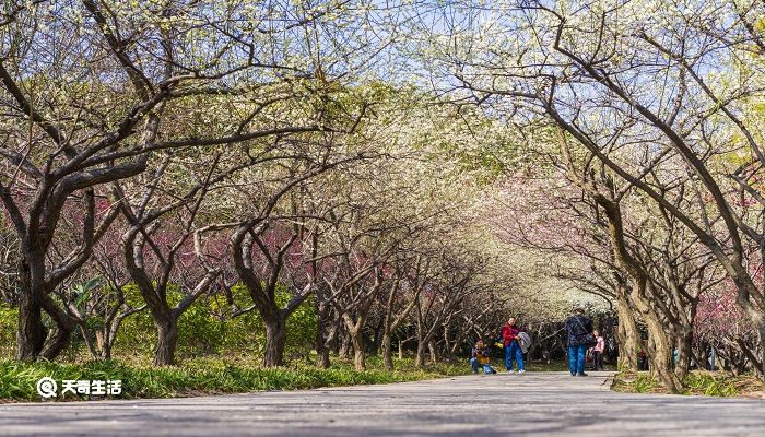 【梓夏心情】你来过一阵子，我怀念一辈子