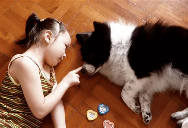 怎么教孩子学会与动物友好相处