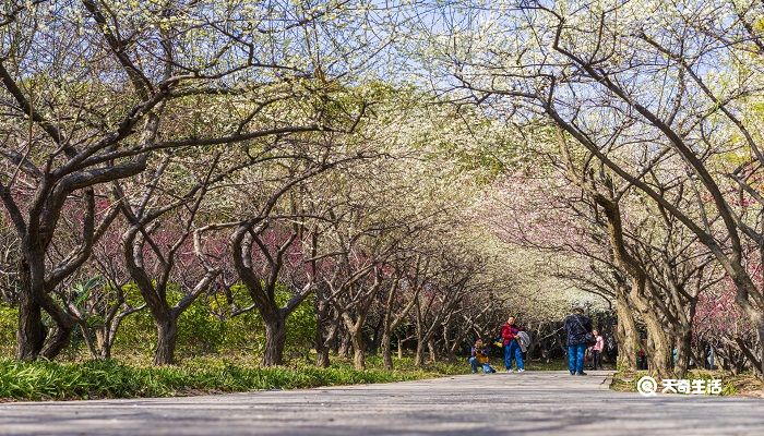 深圳著名办公楼设计师