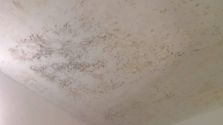 天花板发霉直接刮一遍腻子粉可以吗 天花板发霉怎么弄干净