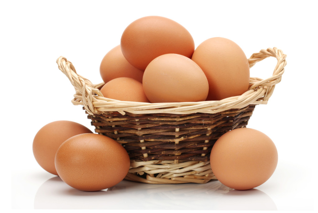 鹌鹑蛋和鸡蛋的区别 鹌鹑蛋和鸡蛋的区别午后骄阳广场舞微风细雨