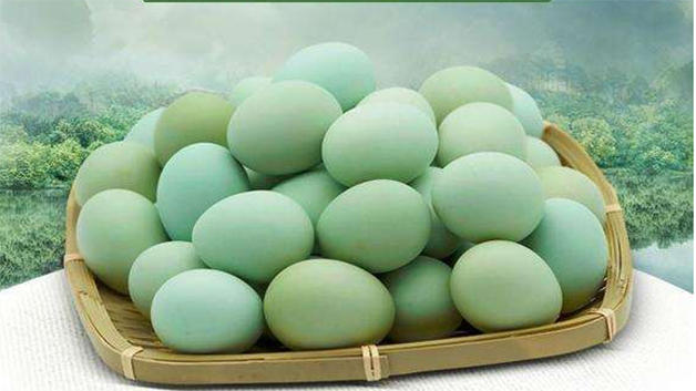 乌骨鸡蛋和普通鸡蛋的区别 乌骨鸡蛋和普通鸡蛋的营养价值有什么区别