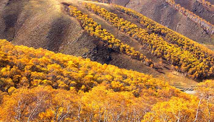 内蒙古黄花沟旅游攻略 黄花沟旅游攻略