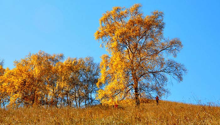 黄花沟地质公园简介 黄花沟地质公园好玩吗