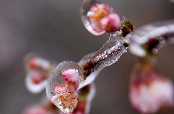 氧气罐能上飞机么