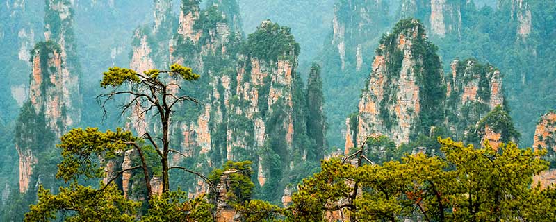 张家界是哪个省份的旅游景点 张家界旅游什么时候去最好