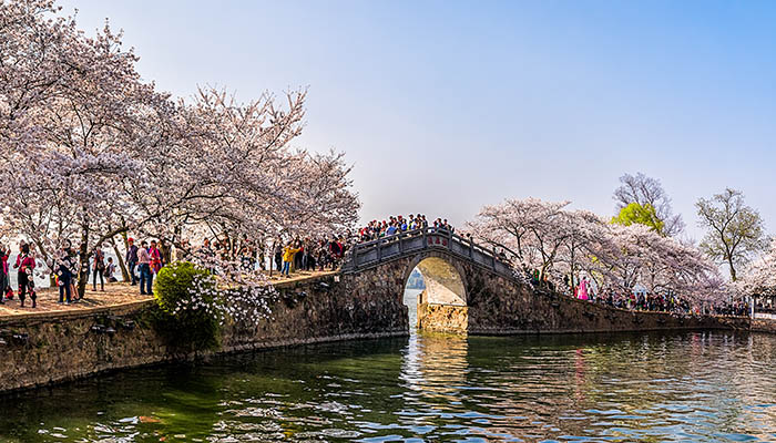 特色十足！《封神2》六大门派为自己代言