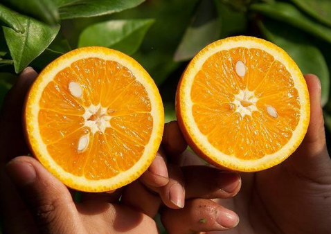 橙子怎么加热吃有营养2