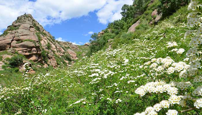 黄花沟地质公园好玩吗 黄花沟地质公园简介