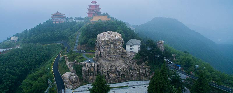 《小纵队探供植物事迹》动漫