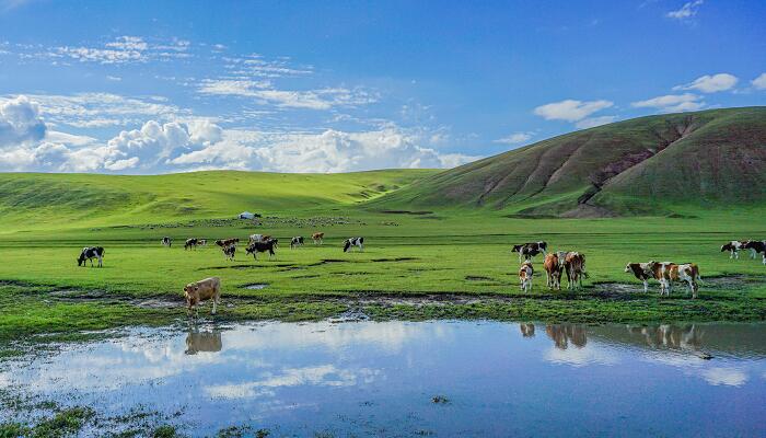 沽源旅游攻略 张家口沽源有什么好玩的地方