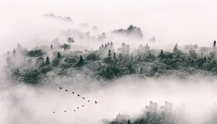 南昆山旅游攻略 南昆山有什么好玩的