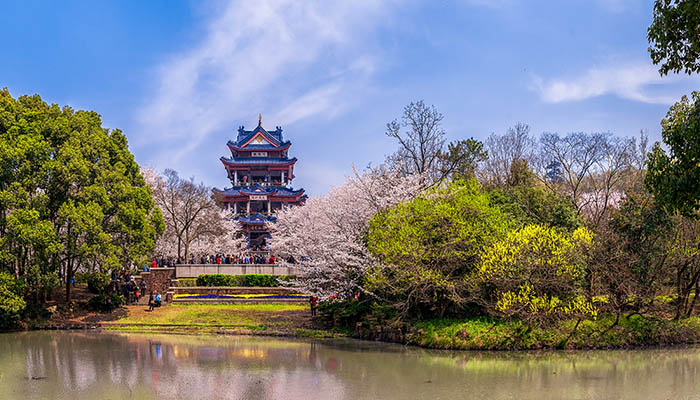 鼋头渚景区门票多少钱 鼋头渚需要多少门票