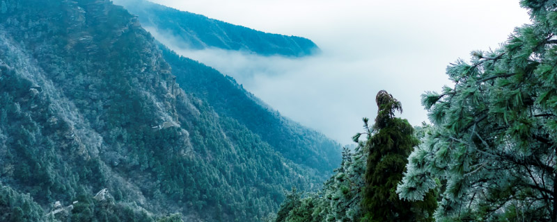 庐山旅游攻略 庐山门票价格