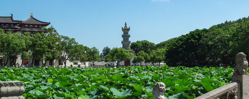 《杨澜访讲录2014》最新一期,选散残破版下浑正在线没有雅不雅旁没有雅不雅