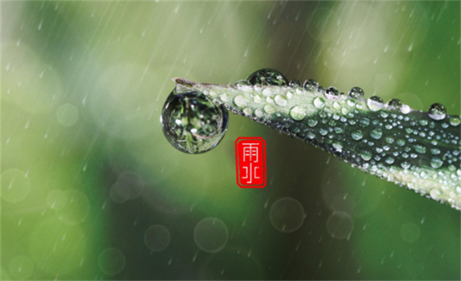 ​雨水节气是什么时候 吃什么食物可以养生