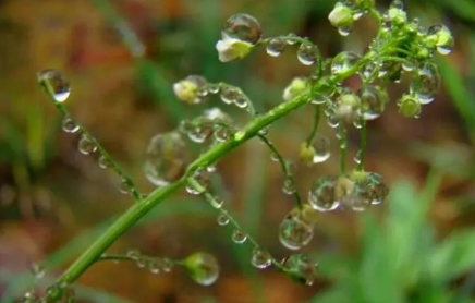 2023苏州梅雨季节是哪几个月 苏州梅雨季节哪些是要注意的