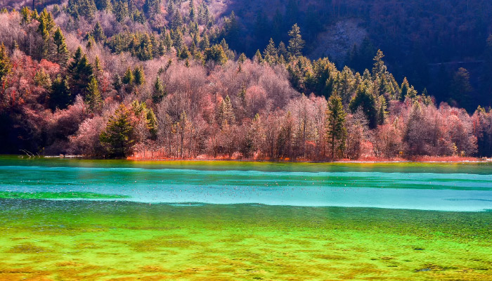 九寨沟旅游景点 九寨沟具体地址在哪里