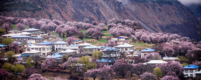 ​去西藏旅游走什么线路 选择去西藏旅游走什么线路最好