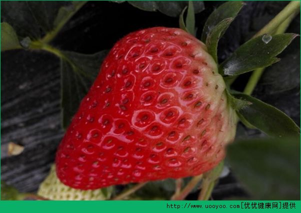 草莓热量高吗？草莓热量多少？(4)