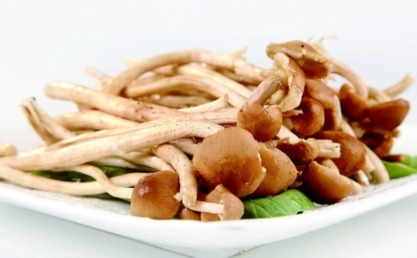 茶树菇不能和什么一起吃？茶树菇和什么食物相克？(1)