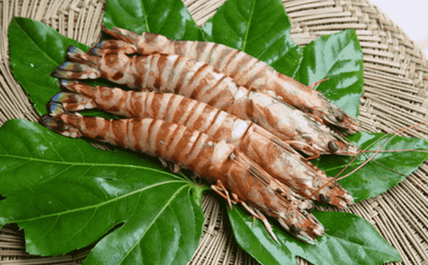 竹节虾有什么营养价值？竹节虾有什么功效？(1)