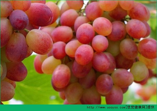 秋天吃葡萄的好处有哪些？秋季吃葡萄有什么好处？(2)