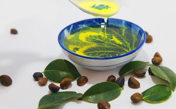 茶树油有什么功效？茶树油有什么用途？(1)