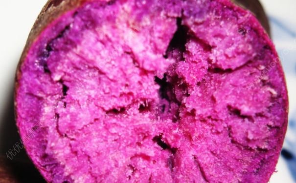 紫薯是蒸着吃还是煮着吃？紫薯该蒸着吃还是煮？(1)