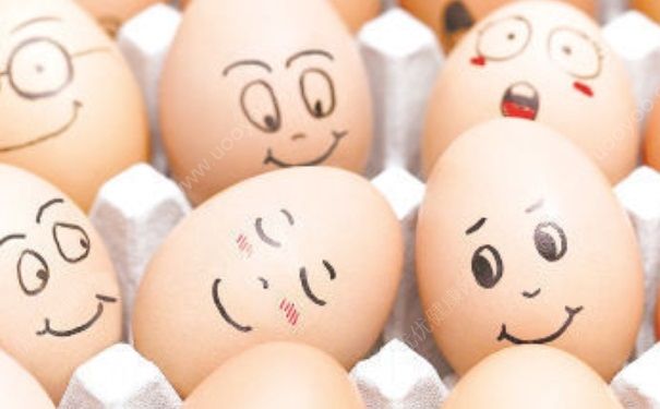红皮鸡蛋和白皮鸡蛋哪个更营养？鸡蛋如何食用更健康？(1)