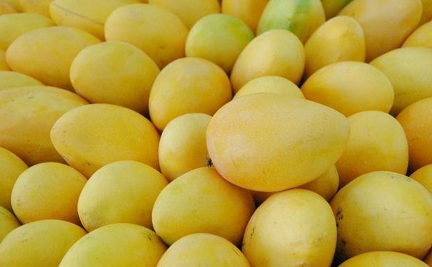 经常吃芒果有什么功效？芒果能治疗什么疾病？(1)