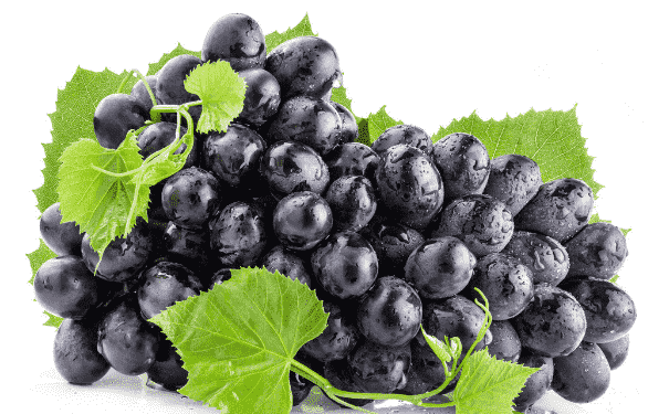 经常吃葡萄都有那些好处呢？葡萄具有哪些营养价值？(1)
