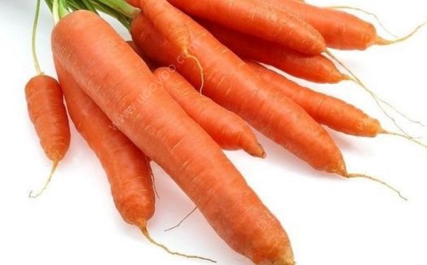 胡萝卜为什么有种怪味道？怎么去掉胡萝卜的生味？(1)