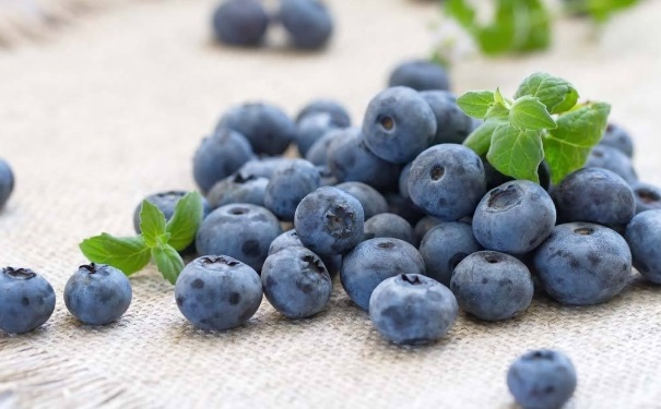 蓝莓有什么影响成绩 蓝莓的食用伎俩有哪些