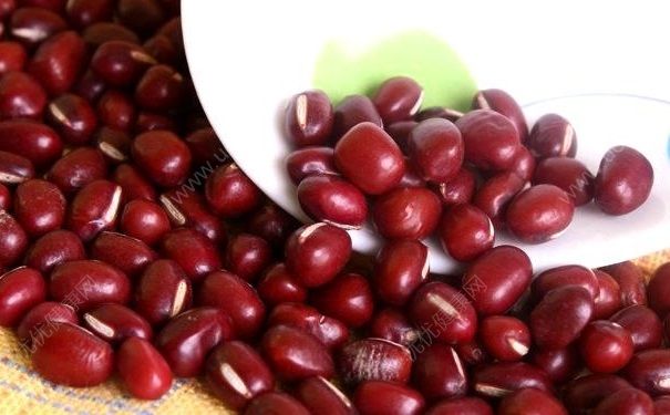 红豆减肥法正确做法有哪些？红豆减肥法周瘦10斤？(1)