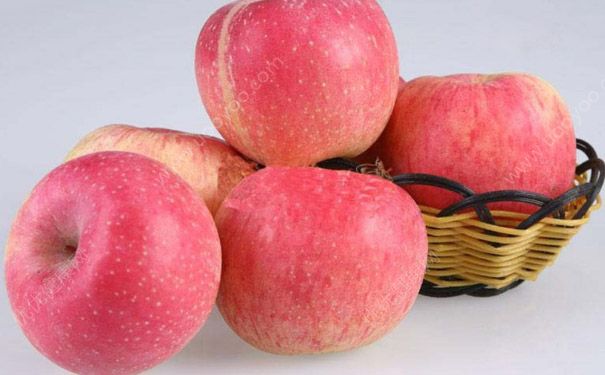 苹果和柿子可以一起吃吗？苹果和柿子一起吃好吗？(5)