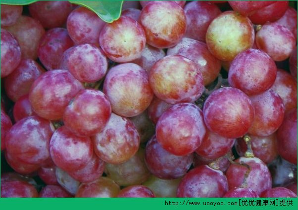秋天吃葡萄的好处有哪些？秋季吃葡萄有什么好处？(4)