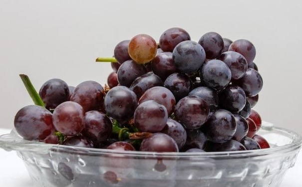 葡萄有哪些营养功效？常吃葡萄对人体好处有哪些？(1)