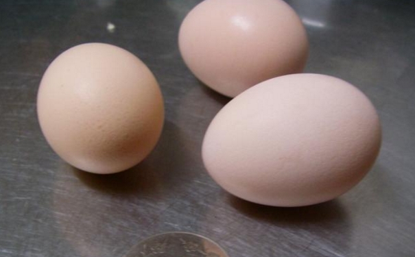 笨鸡蛋和普通鸡蛋有什么区别？普通鸡蛋和笨鸡蛋的区别？(1)